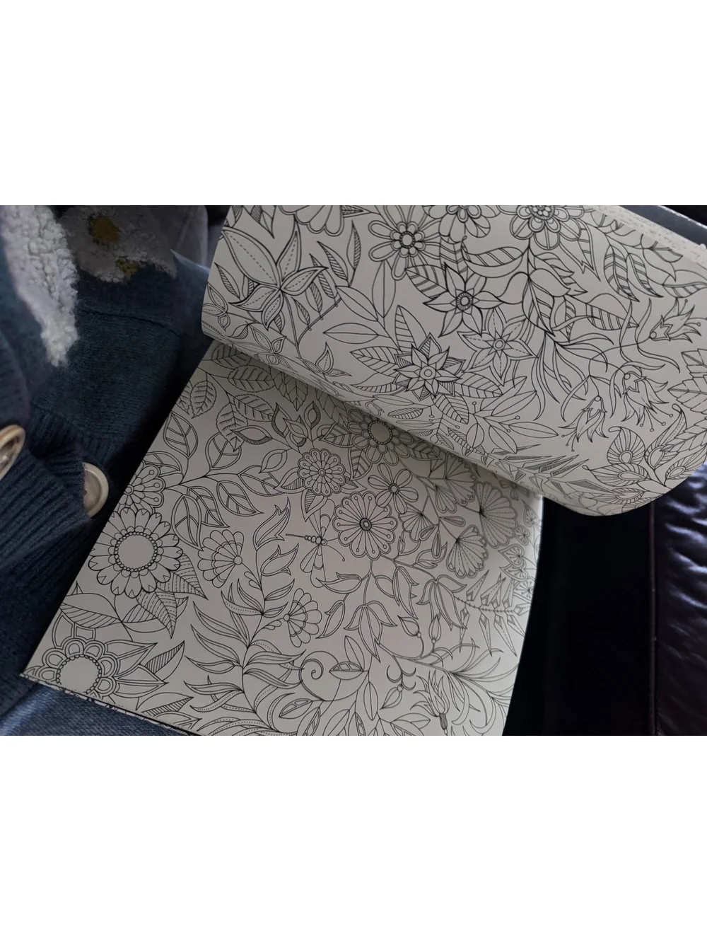 (2) secret garden adult coloring book